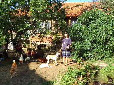Eine Person steht in einem sonnigen Garten mit einer Schüssel in der Hand, umgeben von mehreren Hunden, Hühnern, Grünpflanzen und Bäumen, mit einem rustikalen Haus im Hintergrund.