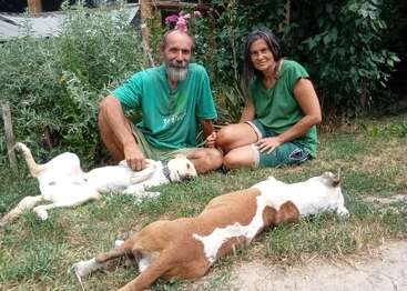 Un homme et une femme sont assis sur l'herbe dans un jardin, souriants, avec deux chiens détendus à leurs côtés. La verdure et les fleurs forment l'arrière-plan. Scène paisible.