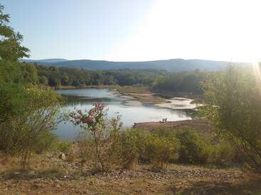Ein friedlicher See mit klarem Wasser ist von grünen Bäumen und Sträuchern umgeben, unter einer strahlenden Sonne. Entfernte Berge vervollständigen diese schöne Naturlandschaft.