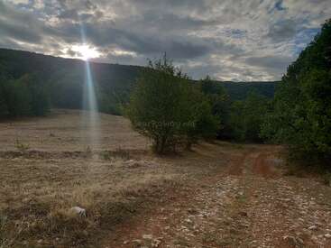Ein Feldweg schlängelt sich durch eine grasbewachsene, teilweise trockene Landschaft, umgeben von grünen Bäumen. Die Sonne blickt durch die Wolken auf die entfernten Hügel und wirft ein dramatisches Licht.