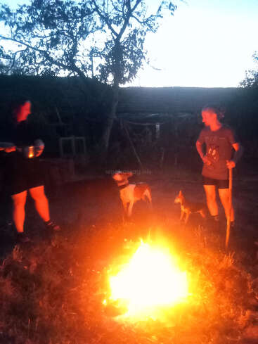 Zwei Menschen und zwei Hunde versammeln sich in der Abenddämmerung um ein helles Lagerfeuer, umgeben von Bäumen und einer ländlichen Umgebung, und genießen einen warmen und friedlichen Abend im Freien.