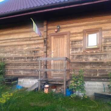 Una rústica cabaña de madera con un pequeño porche y escaleras, plantas creciendo cerca y una bandera descolorida sobre la puerta, se alza sobre un trozo de césped.
