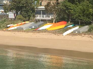 La imagen representa una serena escena playera con una hilera de coloridos kayaks y canoas en la orilla, sobre un fondo de árboles y una casa.