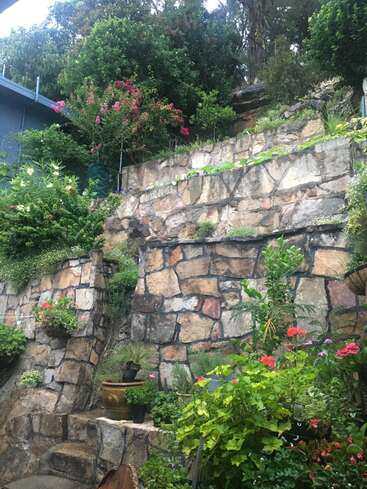 La imagen muestra un muro de piedra con plantas y flores que crecen en él, con una mezcla de vegetación, flores rosas y otras flores de colores.