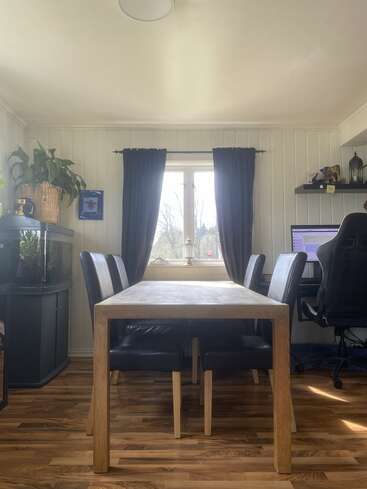 Une pièce chaleureuse et baignée de soleil, dotée d'un parquet, comprend une table à manger, des chaises noires, un aquarium, des plantes vertes, des rideaux sombres, une fenêtre et un coin bureau à proximité.