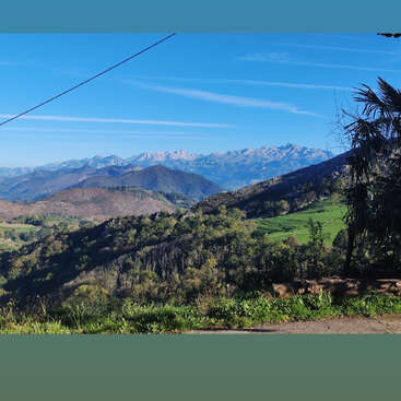 Des collines verdoyantes à la végétation luxuriante s'étendent vers des montagnes escarpées au loin, sous un ciel bleu limpide. Des palmiers, des lignes électriques et la lumière du soleil viennent compléter ce paysage pittoresque.