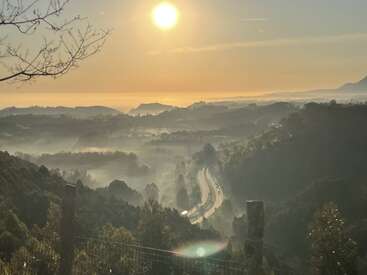 Una carretera sinuosa atraviesa las colinas envueltas en niebla al amanecer. El sol dorado ilumina el paisaje, proyectando largas sombras sobre la exuberante vegetación y los tranquilos valles envueltos en niebla.
