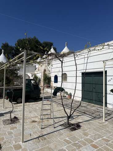 Ein sonniger Innenhof mit einem weißen Gebäude mit kegelförmigen Dächern, einer Metallpergola, Kletterpflanzen, einem grünen Fahrzeug, einer Leiter, Pflanzen und strahlend blauem Himmel.