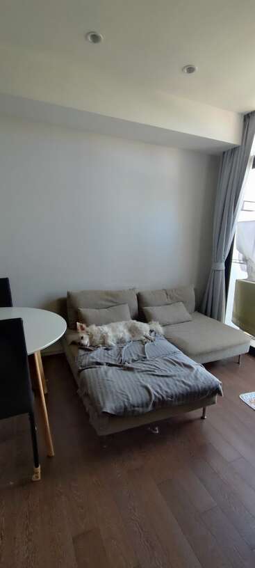 Ein gemütliches Wohnzimmer mit einem beigen Ecksofa, auf dem ein entspannter weißer Hund liegt, einem runden Esstisch, schwarzen Stühlen und Sonnenlicht, das durch die Vorhänge hereinströmt.