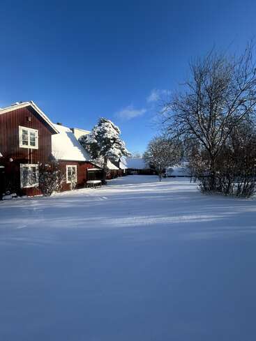 A red wooden house sits under a bright blue sky, surrounded by snow-covered ground, trees, and bushes, creating a peaceful, wintry rural scene.
