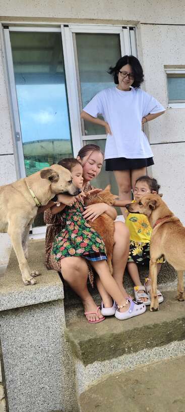 A happy family sits on concrete steps with two children, two adults, two friendly dogs, and a cat, all sharing a joyful, heartwarming moment together.