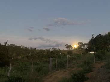 The image shows a rural landscape at dusk, with trees, a dirt path, fence posts, green vegetation, and the golden sun low on the horizon, partially hidden.
