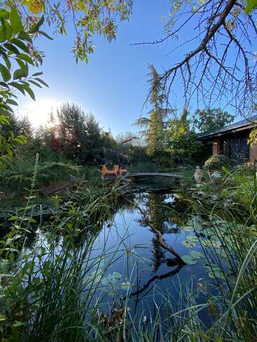 Un tranquilo estanque de jardín refleja el cielo azul y los árboles que lo rodean. Dos sillas de madera se sientan junto al agua, creando un refugio al aire libre tranquilo y acogedor.