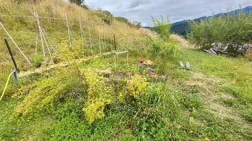 This image shows an overgrown garden with yellow and pink wildflowers, a wooden trellis structure, grassy paths, and hills in the background under a cloudy sky.