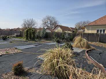 A backyard garden with sparse vegetation, some ornamental plants, and dry grass patches. Surrounding houses, wooden fences, and blue sky are visible, giving a calm suburban atmosphere.