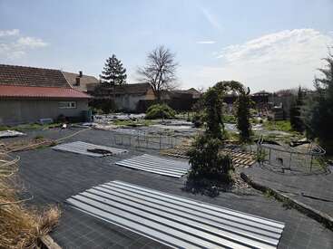 A backyard garden area features metal sheets on the ground, sparse greenery, trellises, and some overgrown plants. There are neighboring houses and trees in the background.