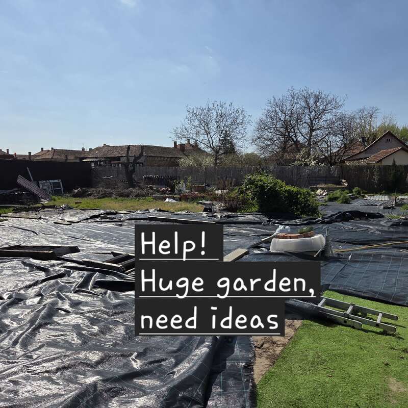 A large garden covered in black plastic sheeting, surrounded by fences and houses, appears unfinished and in need of creative landscaping ideas; text overlay asks for help.