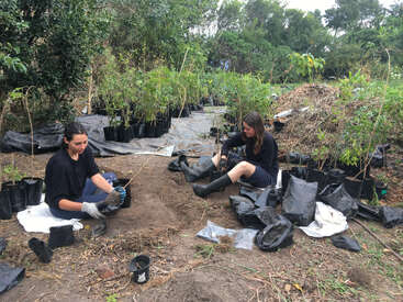 Two people wearing gloves and boots are sitting on the ground, planting young trees in black bags, surrounded by greenery, soil, and various gardening materials.