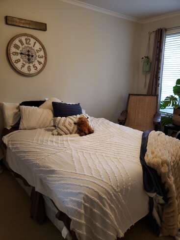 A cozy bedroom with a large clock, neutral walls, a neatly made bed with cushions, stuffed animal, chair, plants, and sunlight streaming through blinds.