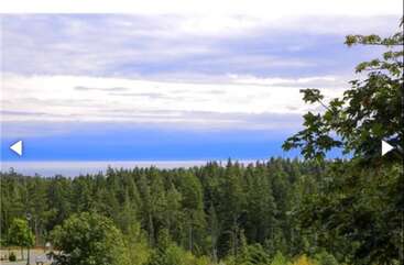 A lush green forest stretches across the landscape under a beautiful, cloudy sky. Tree branches frame the image, with hints of blue sky and distant water.
