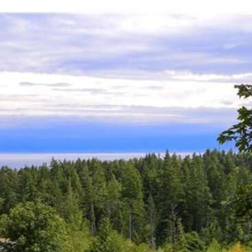 Une forêt verdoyante s'étend sur le paysage sous un beau ciel nuageux. Des branches d'arbres encadrent l'image, avec des touches de ciel bleu et d'eau au loin.