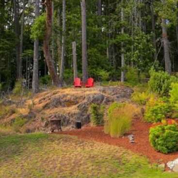 Two bright red chairs sit atop a rocky hill, surrounded by lush green trees and plants, providing a peaceful spot overlooking a beautiful forested landscape.