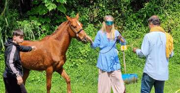 Una mujer con los ojos vendados conduce un caballo marrón, guiada por dos personas. Están al aire libre, rodeados de un frondoso follaje verde, participando en un ejercicio de creación de equipos o de confianza.