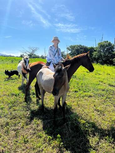 A person wearing a hat rides a brown horse in a sunny, open field. There are other horses and a black dog nearby under a clear blue sky.