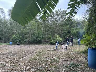 A group of people, including children, gathers in a clearing surrounded by trees. Large banana leaves hang overhead, with blue barrels scattered around the area.