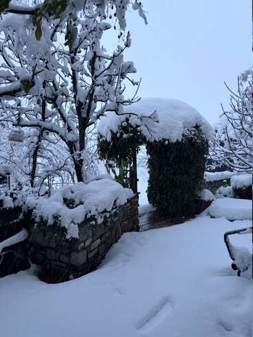 A serene winter scene. Snow blankets stone walls, trees, and archway. Footprints cross the fresh snow. Everything is quiet, peaceful, and beautifully covered in white.