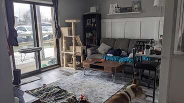 Dieses gemütliche Wohnzimmer ist mit einem grauen Sofa, einem Couchtisch, einem großen Teppich, einem Kratzbaum, einem Tierbett, einem Hund, Bücherregalen und Glasschiebetüren mit Blick auf den Garten ausgestattet.