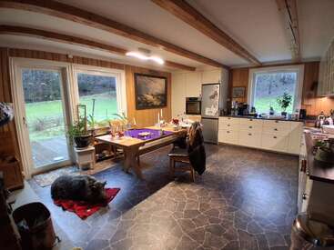 Eine gemütliche Küche mit Holzwänden und Deckenbalken hat einen Esstisch, große Fenster, Pflanzen, weiße Schränke und einen Hund, der auf einer roten Matte liegt.