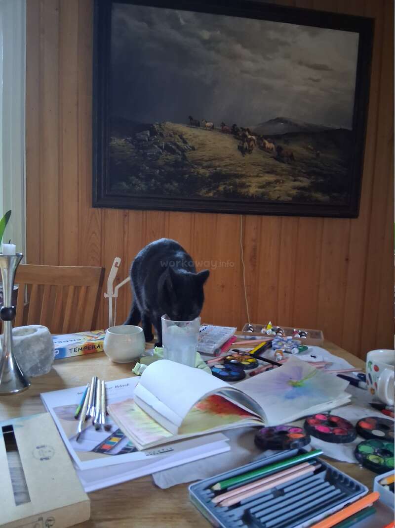 Eine schwarze Katze steht auf einem unordentlichen Tisch, der mit Kunstzubehör, Skizzenbüchern und Tassen gefüllt ist. Ein Landschaftsgemälde mit Pferden hängt an der Holzwand.