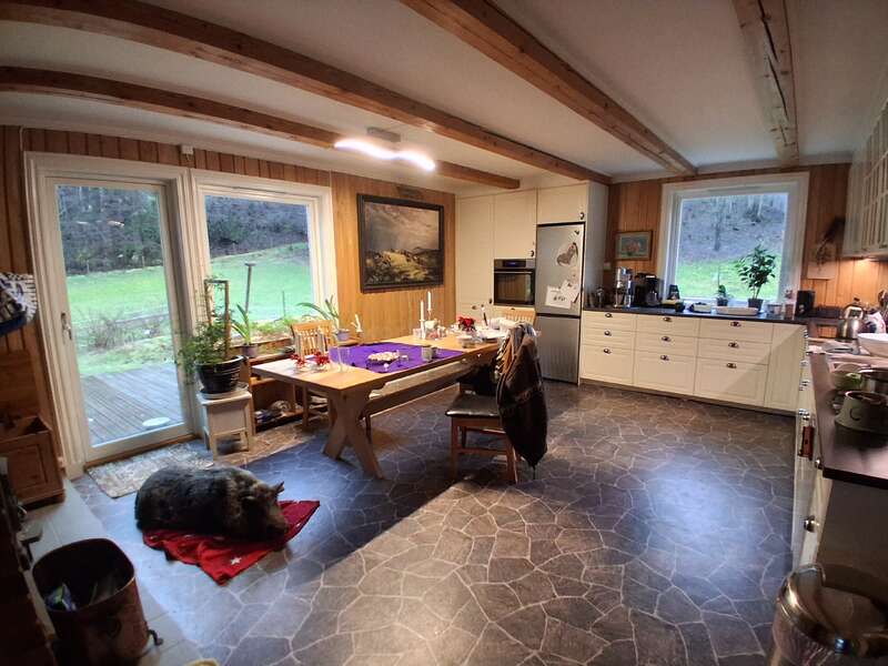 Eine gemütliche Küche mit Holzwänden und Deckenbalken hat einen Esstisch, große Fenster, Pflanzen, weiße Schränke und einen Hund, der auf einer roten Matte liegt.