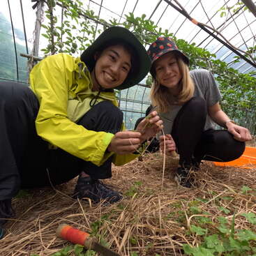 Deux femmes sont accroupies dans une serre, entourée de plantes et de foin, tenant une petite plante, avec un outil orange vif sur le sol à proximité.