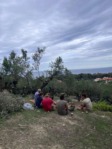 Das Bild zeigt eine Gruppe von Menschen, die vor Olivenbäumen auf dem Boden sitzen, während im Hintergrund ein Gewässer und Gebäude unter einem bewölkten Himmel zu sehen sind.