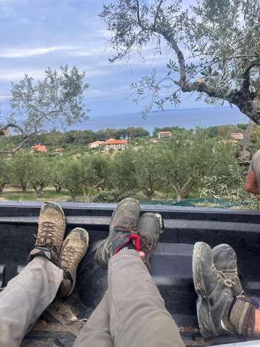 Das Bild zeigt zwei Personen, die sich auf dem Rücksitz eines Lastwagens ausruhen, umgeben von Olivenbäumen und einer ruhigen Landschaft, in der Ferne ist ein Gewässer zu sehen.