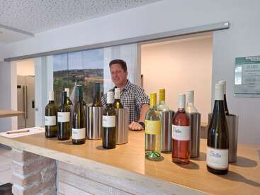 Ein Mann steht hinter einem Holztresen mit verschiedenen Weinflaschen und Metallkühlern in einem modernen, hellen Verkostungsraum mit malerischer Kulisse.