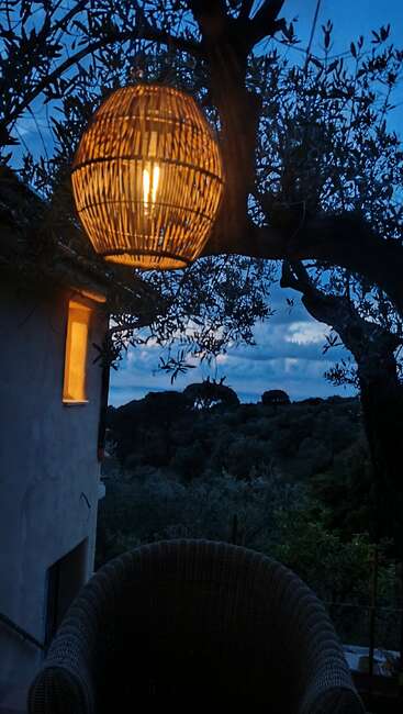 Un farol de ratán resplandeciente cuelga de un árbol, iluminando un acogedor sillón de mimbre al atardecer. El follaje silueteado y un paisaje tranquilo completan la escena.