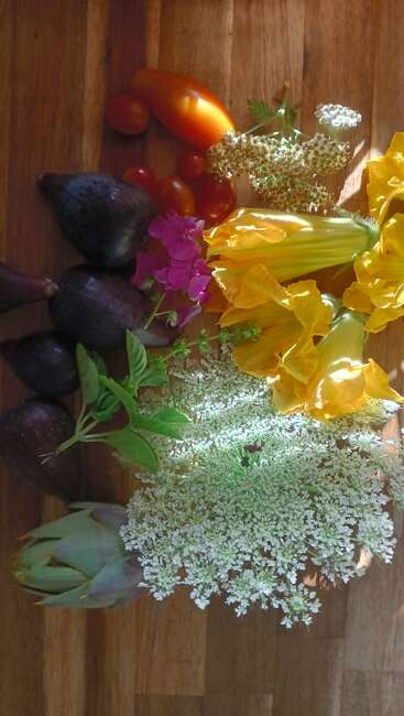 Un colorido surtido de productos frescos y flores descansa sobre una superficie de madera: higos, tomates, albahaca, alcachofa, flores de calabaza, milenrama, hortensia y zanahoria silvestre.