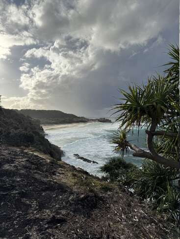 Dramatic clouds hover above a rugged coastline, waves crash on sandy shorelines, tropical trees frame the scene, blending the wild ocean with lush greenery.