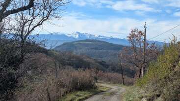 Un sinuoso camino de tierra conduce a través de árboles y arbustos desnudos hacia unas colinas onduladas. Las montañas nevadas se alzan majestuosas en la distancia bajo un cielo parcialmente nublado.