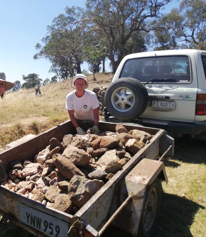 A man in a white shirt and hat is crouching behind a trailer filled with rocks, parked next to a white SUV in a grassy field on a sunny day.