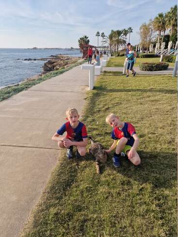 Two boys in matching sports shirts sit on grass by the seaside, smiling with a tabby cat. Palm trees, ocean, and people enjoying a sunny day.