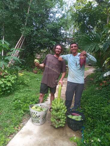 Zwei lächelnde Männer stehen auf einem Gartenweg und halten geerntete Bananen, Mangos und Bananenblüten in den Händen; um sie herum stehen Körbe voller frischer Erzeugnisse, umgeben von üppigem Grün.
