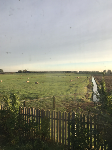 The image depicts a serene rural landscape featuring a lush green field with grazing sheep, a wooden fence, and a small stream running alongside the field.