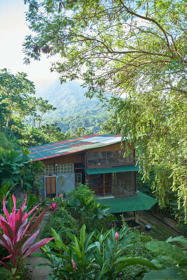 Una casa de madera con un colorido tejado se encuentra entre un exuberante follaje tropical, flores vibrantes y altos árboles, con montañas neblinosas visibles en el apacible fondo.