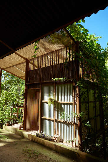 Una pequeña casa ecológica con paredes de metal corrugado, detalles de bambú y exuberantes enredaderas verdes que crecen a su alrededor, mezclándose a la perfección con el bosque circundante. Un refugio tranquilo y natural.