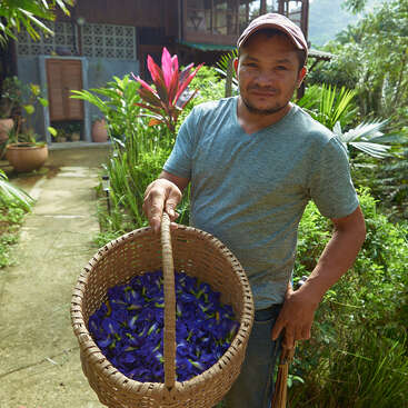Un hombre está de pie en un frondoso jardín sosteniendo una gran cesta tejida llena de vibrantes flores azul-púrpura, sonriendo amablemente mientras lleva una gorra y una camisa azul.