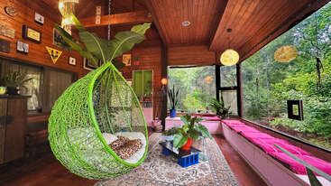A cozy wooden room features a green hanging chair, indoor plants, large windows with forest views, pink cushioned seating, eclectic decor, and bright natural lighting.